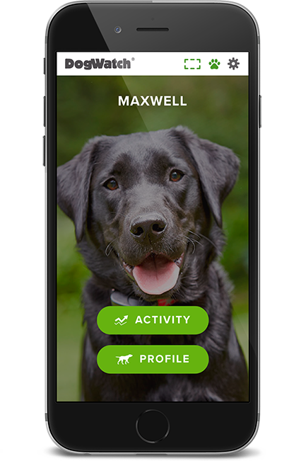 DogWatch by Arkansas Pet Safety Systems, Royal, Arkansas | SmartFence WebApp Image
