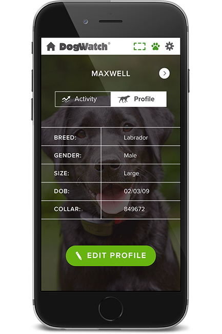 DogWatch by Arkansas Pet Safety Systems, Royal, Arkansas | SmartFence WebApp Image