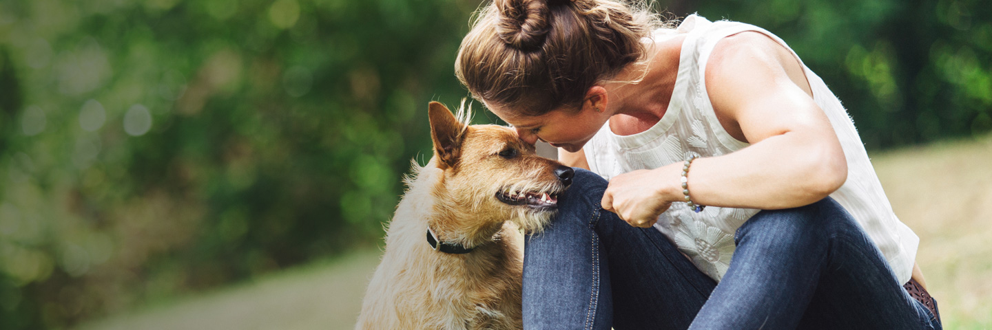 DogWatch by Arkansas Pet Safety Systems, Royal, Arkansas | BarkCollar No-Bark Trainer Slider Image